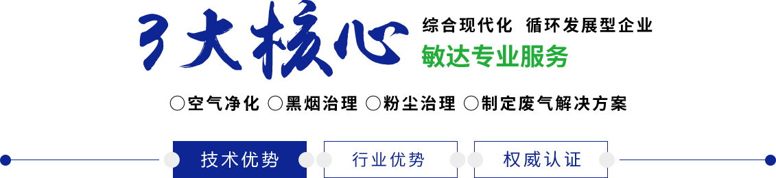 大黑屌大插入视频敏达环保科技（嘉兴）有限公司